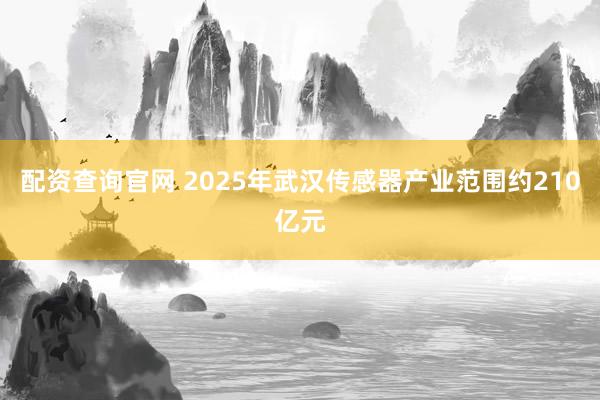 配资查询官网 2025年武汉传感器产业范围约210亿元