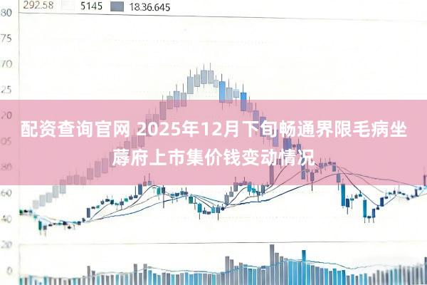 配资查询官网 2025年12月下旬畅通界限毛病坐蓐府上市集价钱变动情况