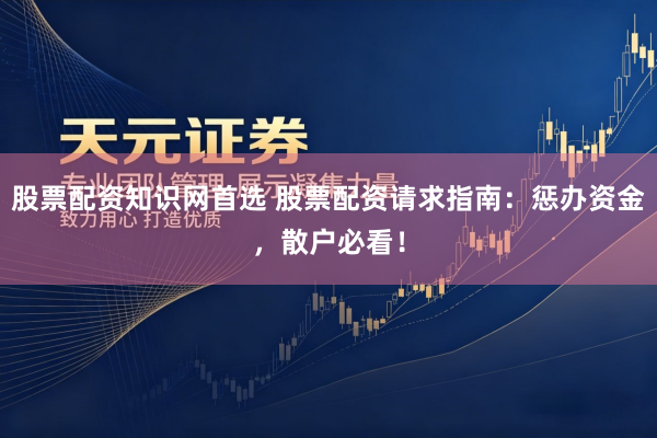 股票配资知识网首选 股票配资请求指南：惩办资金，散户必看！